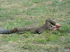 Kliknij by wejść http://lh5.googleusercontent.com/_LX_t-YA1yVQ/Tc4r_BsmUbI/AAAAAAAAJFk/yoCGZaWVTQE/s144/DSC06650.JPG