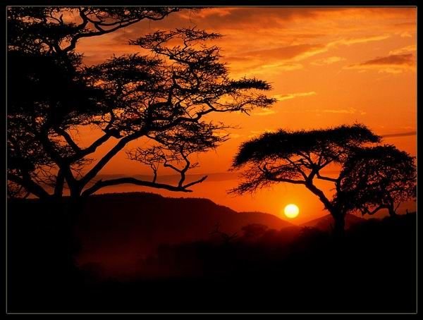[african-sunset.jpg]