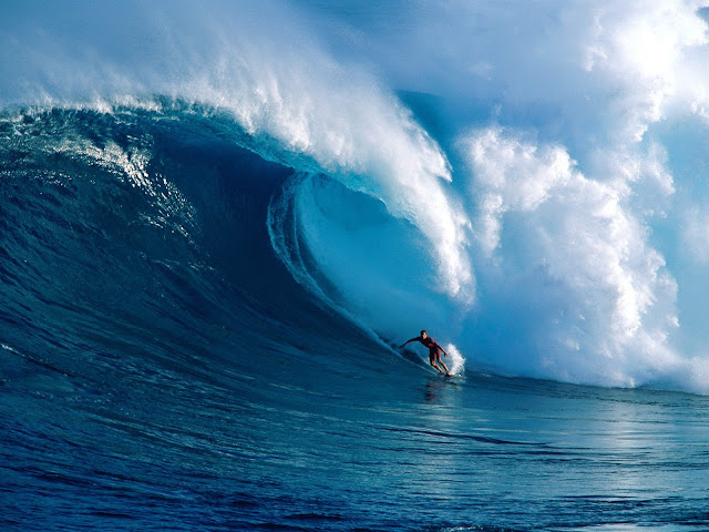 Surfing Pictures Seen On www.coolpicturegallery.us Surfing Pictures Seen On www.coolpicturegallery.us