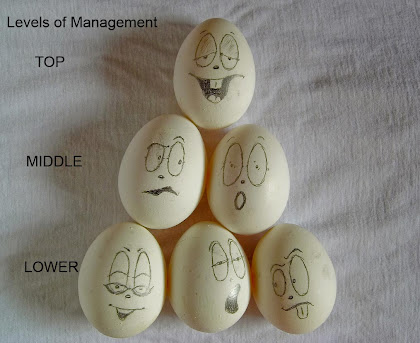 levels of management top middle lower