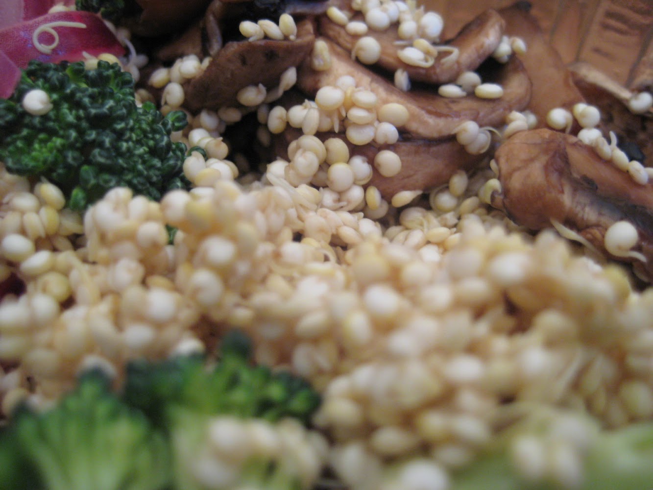 RAW RECIPE (photos)