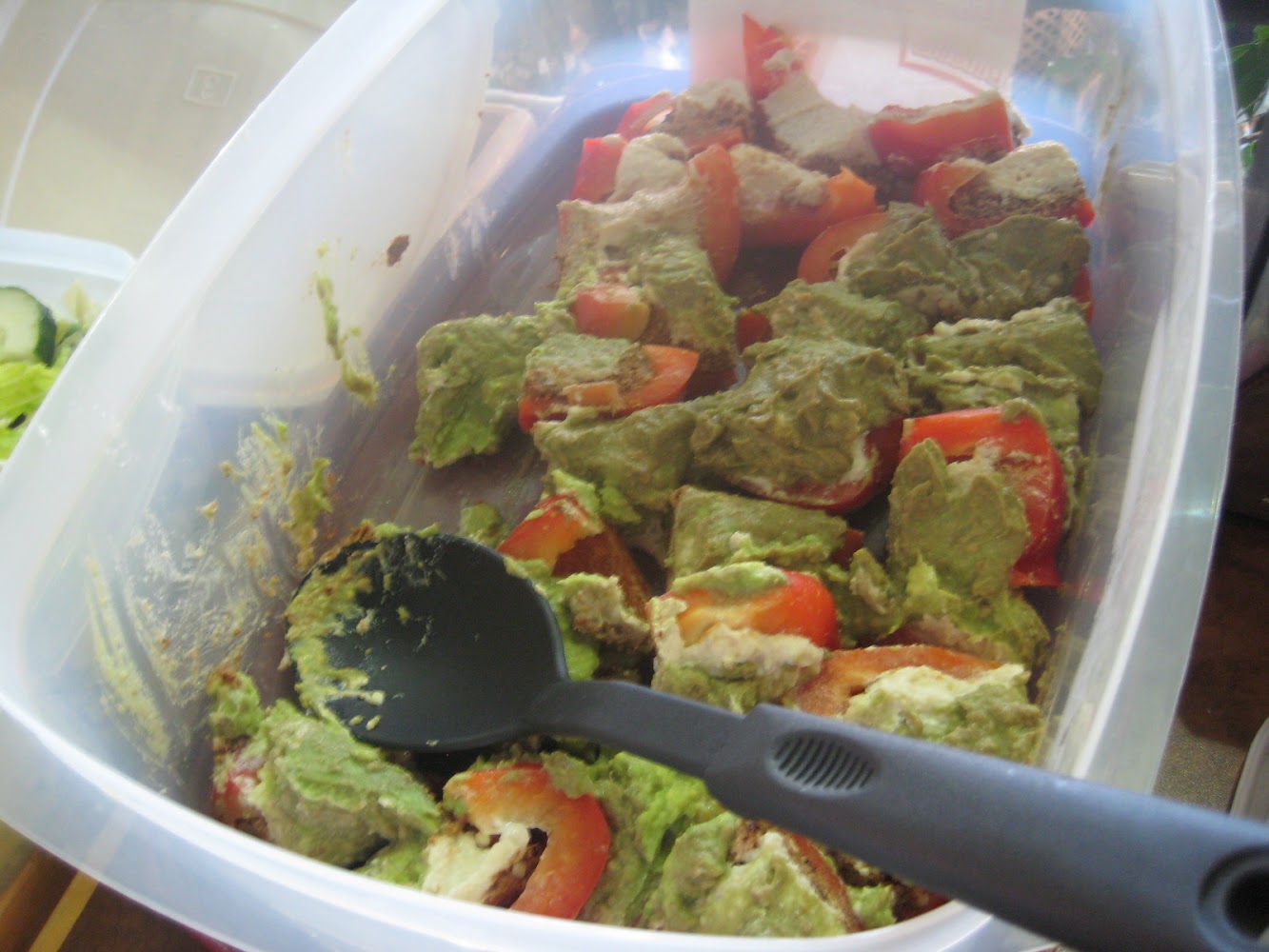 RAW RECIPE (photos)