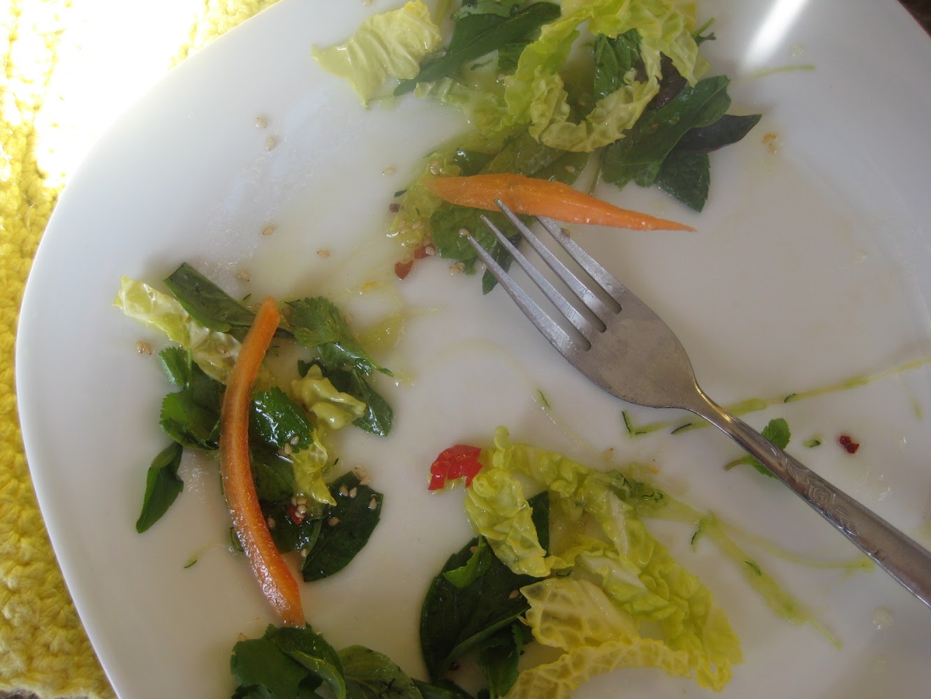 RAW RECIPE (photos)