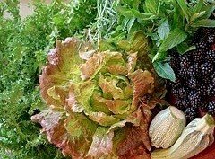 RAW RECIPE (photos)