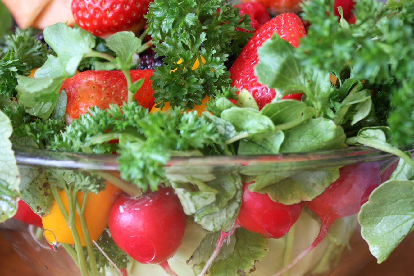 RAW FOOD (photos)