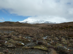 Parc du Tongariro