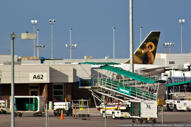 USA Colorado Denver International Airport Frontier Airlines Airbus A320 N202FR Colorado, the Bighorn Sheep США Колорадо Денвер Международный Аэропорт Фронтир Эйрлайнс Аэробус Эйрбас А320 Толсторог Колорадо Хвост Самолёта