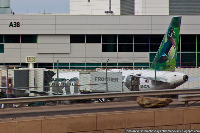 USA Colorado Denver International Airport Frontier Airlines Airbus A319 N902FR Woody the Wood Duck США Колорадо Денвер Международный Аэропорт Фронтир Эйрлайнс Аэробус Эйрбас А319 Вуди Каролинская Утка Хвост Самолёта