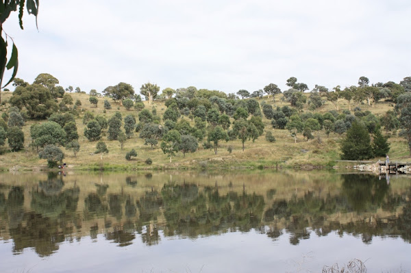 googong foreshore