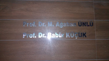 Prof.Dr.Babür Küçük