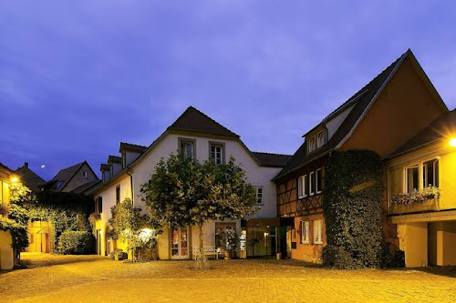 À la Cour d'Alsace · Hôtel Restaurant & Spa à Obernai