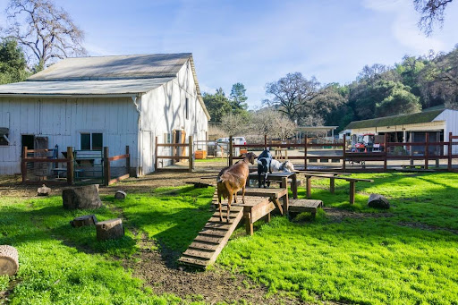 Nature Preserve «Rancho San Antonio Open Space Preserve», reviews and photos, 22500 Cristo Rey Dr, Cupertino, CA 95014, USA