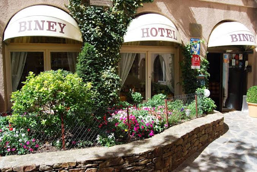 Hôtel Biney à Rodez