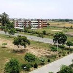 Gndu Regional Campus Gurdaspur photo