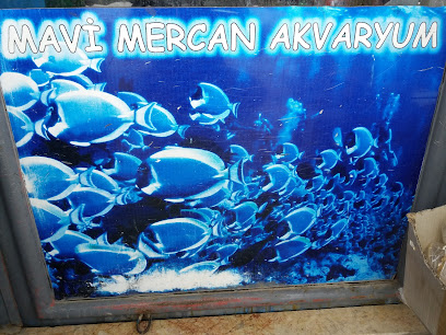 Mavi Mercan Akvaryum