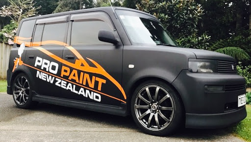 PRO PAINT NEW ZEALAND logo