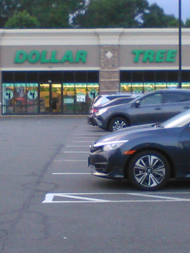 Dollar Store «Dollar Tree», reviews and photos, 345 Huntington Turnpike, Bridgeport, CT 06610, USA