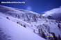 Avalanche Haute vallée de la Susa, secteur Monte Sises, Hors piste Sestrières - Photo 11 - © Duclos Alain