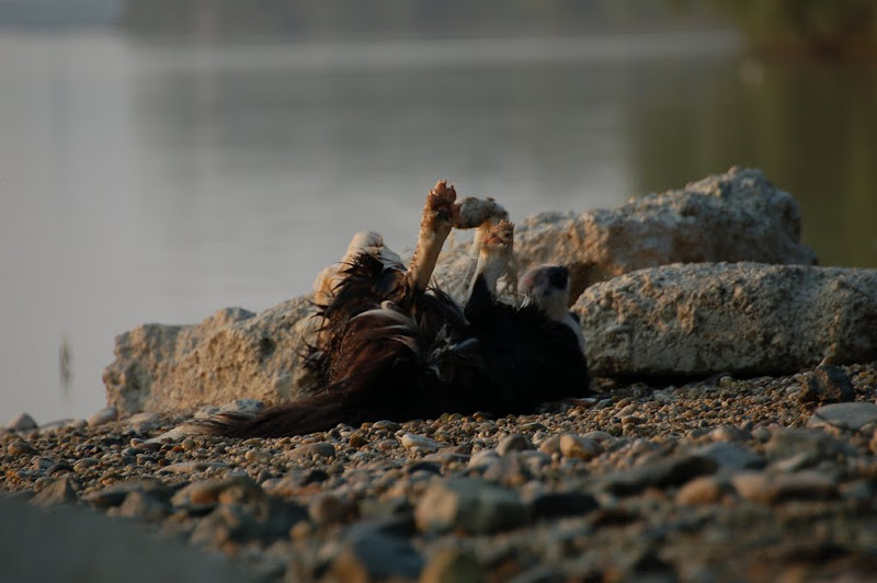 DSC_7301.JPG