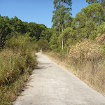 Zig Zag track in Green Point Reserve (403213)