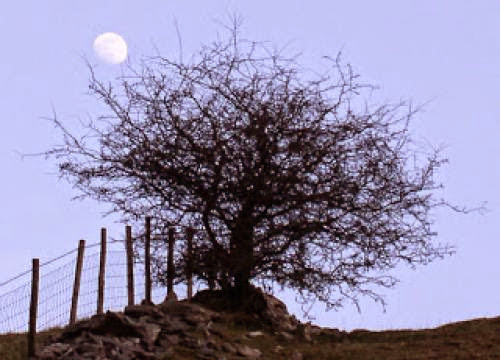 The Hoodoo Truth Blowing Powders On A Sleeping Person