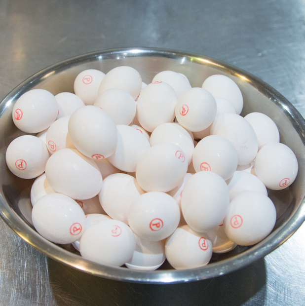 photo of a large bowl filled with eggs