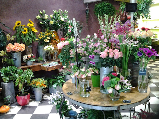 A La Verticale du Jardin
