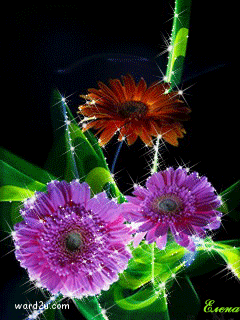 13-www.ward2u.com-luminous-flowers.gif