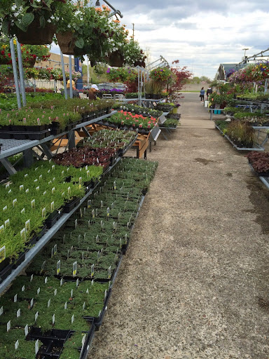 Down 2 Earth Garden Centre