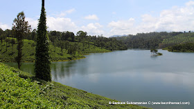 Sholayar Dam near Valparai is surrounded by tea estates making for a fantastic sight