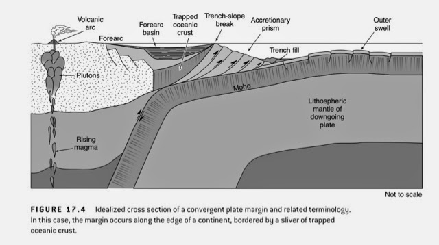 The Terminology of Convergent Plat Boundary