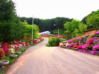 Photos of 산촌꽃마루