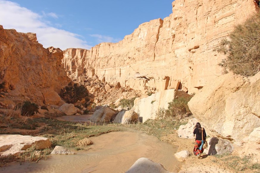 Visitar TAMERZA, uma varanda sobre o deserto do Sahara | Tunísia