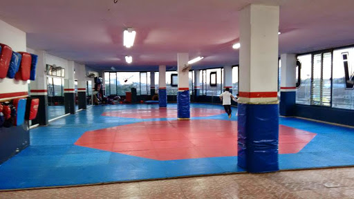 Tae Kwon Do Copat-Sion, Blvrd Miguel Hidalgo 102, Michoacan, 37240 León, Gto., México, Escuela de taekuondo | GTO