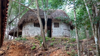 Photos of Cenote Miguel Colorado