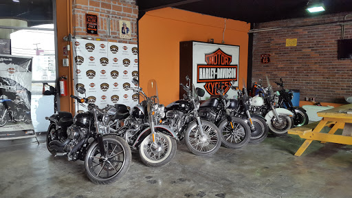 Harley-Davidson Monterrey, Av. Sta. Barbara 105, Santa María, 64650 Monterrey, N.L., México, Concesionario de automóviles | NL
