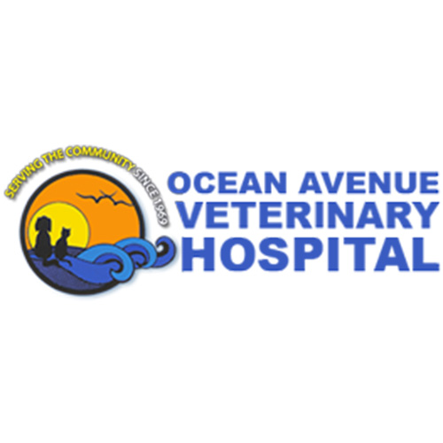 Ocean Avenue Veterinary Hospital