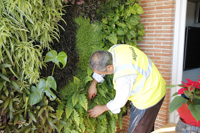 Mantenimiento de jardín vertical en Barcelona