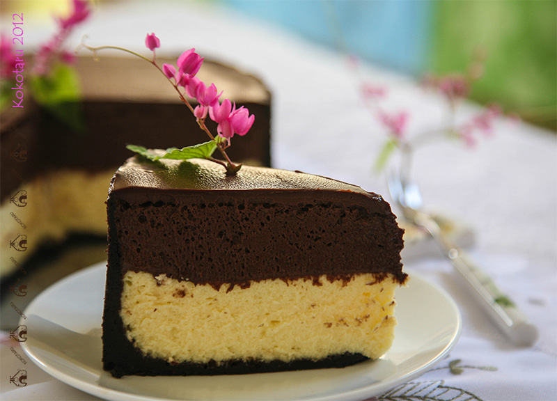 chocolate mousse cheesecake