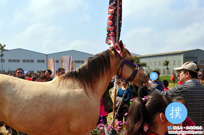 2014小麥文化節 - 可愛馬