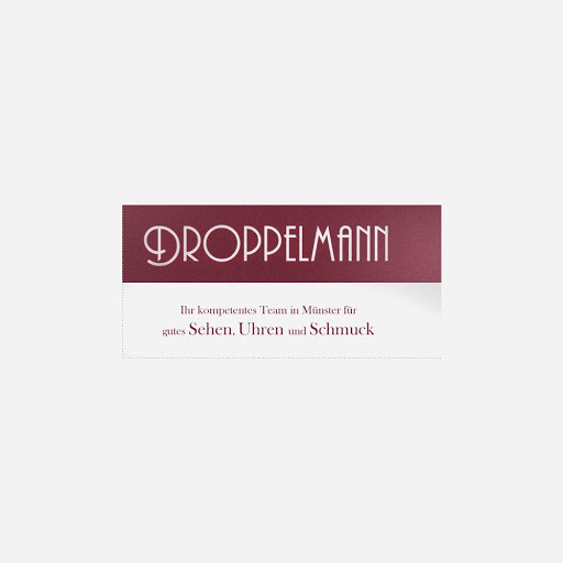 Droppelmann GmbH & Co. KG logo
