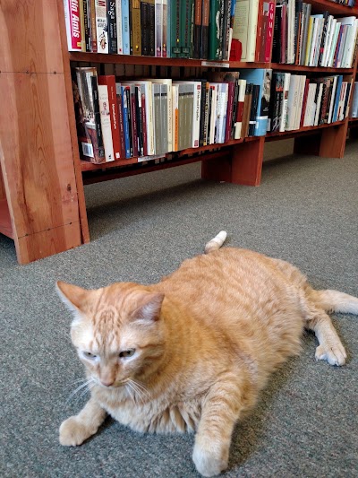 Photos of Downtown Books Bought & Sold