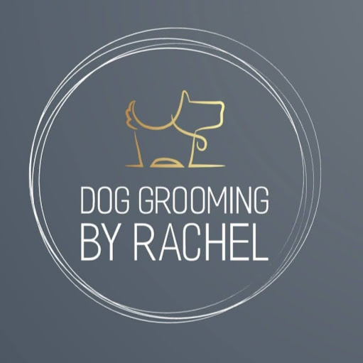 Dog Grooming By Rachel