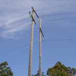 Powerlines on ridge trail east of Brooklyn Dam (29339)