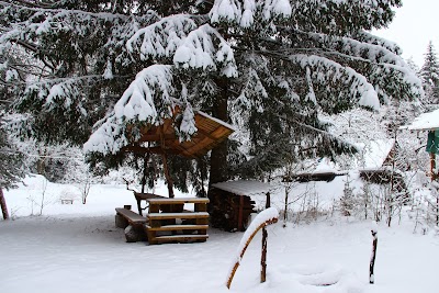 Photos of Agrousad'ba Khutor Komarishki