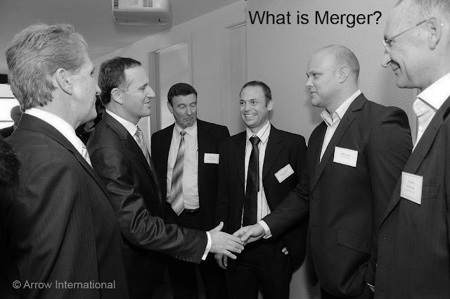 definition meaning of merger