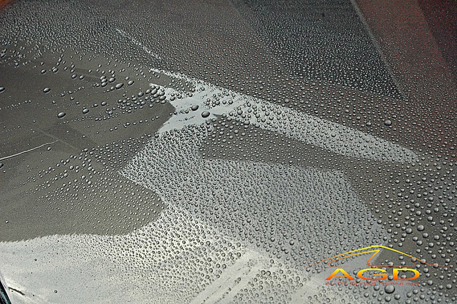 AGDetailing - AGDetailing e le pulzie di primavera su Ford Focus di Cornett1 DSC_0887