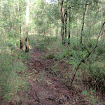 Machins Crater track (150543)