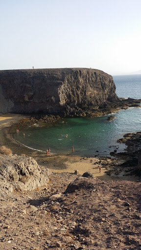Papagayo