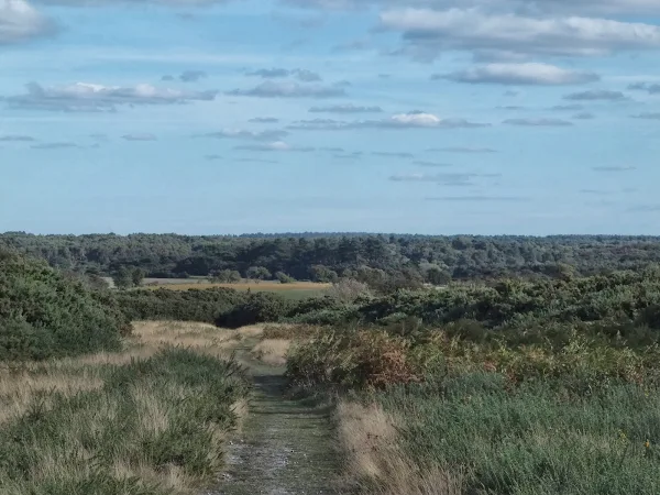 Salthouse Heath